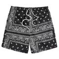 Paisley Mesh Shorts