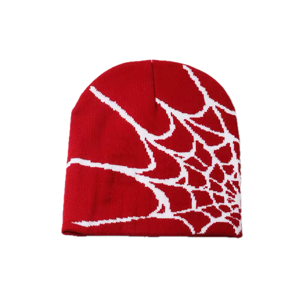 Spider Webbed Beanie